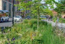 Projektowanie z myślą o przyrodzie