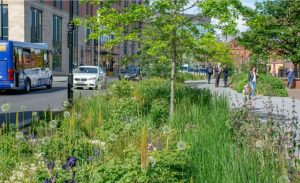 Projektowanie z myślą o przyrodzie