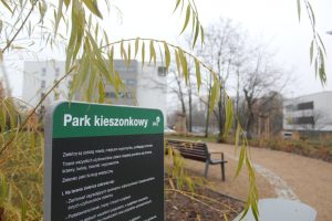 Poznań stawia na błękitno-zieloną infrastrukturę i podejmuje nowe inwestycje