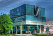 Przyrodnicy zbadają jakość powietrza we Wrocławiu