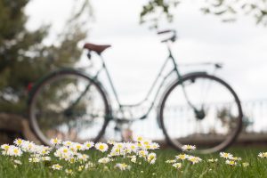 Łódź. Ponad 1300 rowerów w tym sezonie Łódzkiego Roweru Publicznego