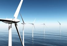 GDOŚ: znaczący wpływ na środowisko podstawą do ograniczenia zabudowy na morskiej farmie wiatrowej