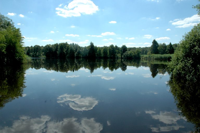 Parki krajobrazowe w Dolinie Baryczy bezpieczne. Stawy Przygodzickie zalane wodą