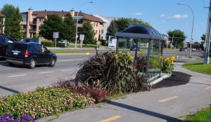Zielone wiaty i przystanki