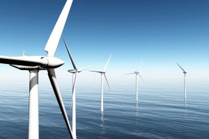 GDOŚ: znaczący wpływ na środowisko podstawą do ograniczenia zabudowy na morskiej farmie wiatrowej