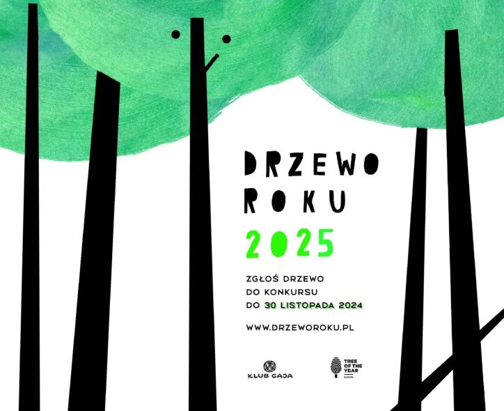 Drzewo Roku 2025 – znamy finalistów
