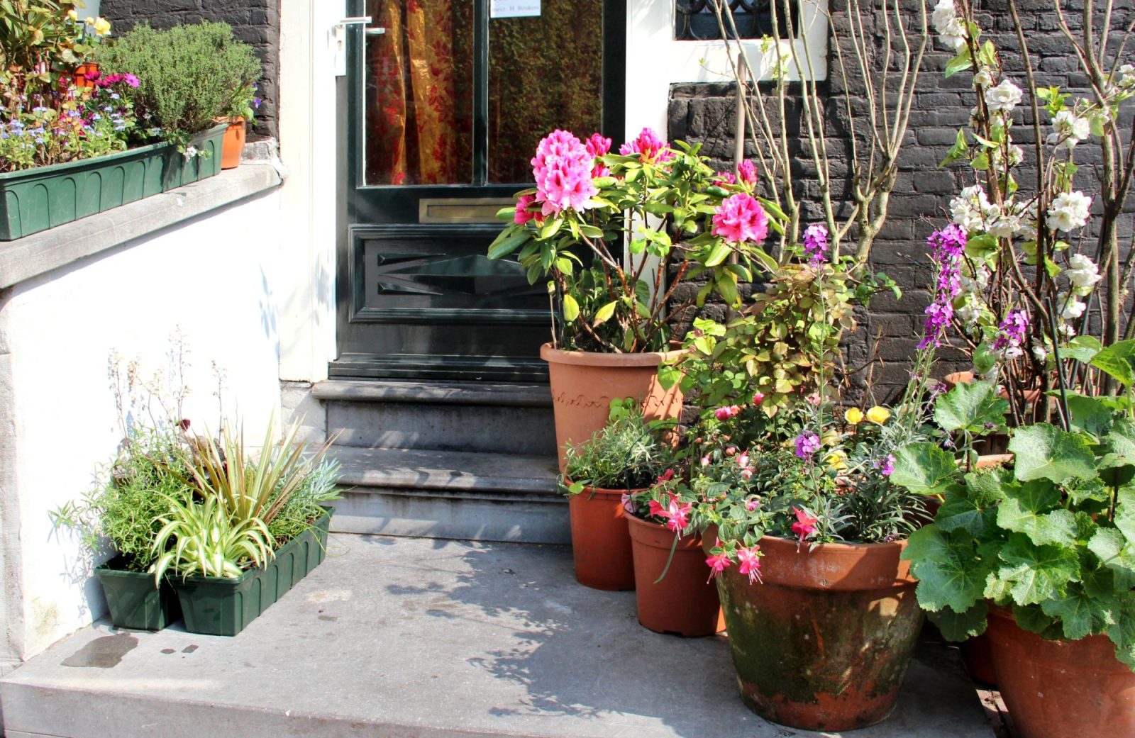 Poznań. Ruszyła 16. edycja akcji “Odmień swoje podwórko”