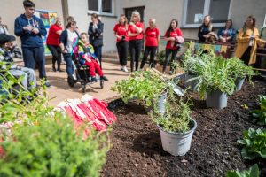 W Lublinie otwarto pierwszy ogród społeczny
