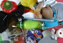 Między morfologią odpadów a poziomem recyklingu