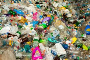 Mikroplastik – pełny wymiar związanych z nim zagrożeń dopiero zaczynamy poznawać