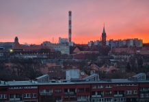 Prezydentka Zabrza odwołana w referendum
