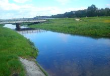 Zawieszenie postępowania w sprawie inwestycji hydrotechnicznej na rzece Lipnicy