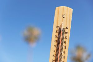 WMO: Doświadczyliśmy właśnie dziesięciu najcieplejszych lat w historii. Bez nadziei na poprawę