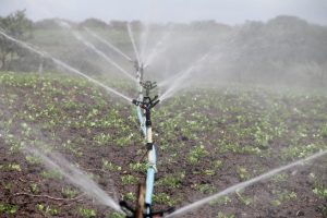 Racjonalne gospodarowanie wodą to wyzwanie dla ochrony środowiska