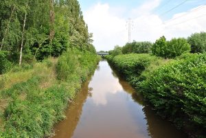 Święto Rawy. Rzeka w centrum uwagi ekologicznej