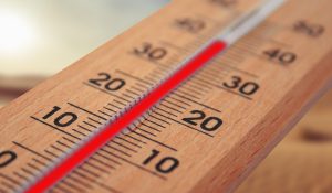 Centrum Ekonomii Zmian Klimatu na UE w Katowicach