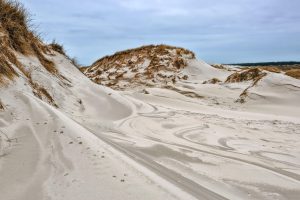 Naturalna bariera ochronna polskiego wybrzeża jest zagrożona