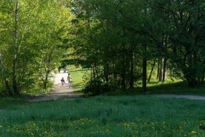 Na wiosnę Katowice inwestują w zieleń