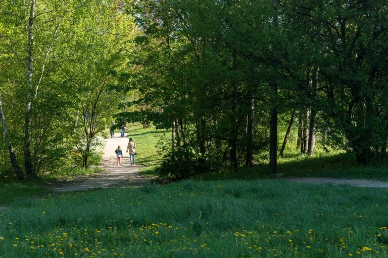 Na wiosnę Katowice inwestują w zieleń