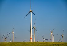 Dezinformacja blokuje rozwój energetyki wiatrowej w Polsce