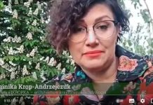 Dominika Krop-Andrzejczuk: Zielone miasta wymagają nowego podejścia