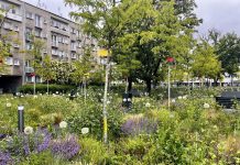 Zielona strategia resortu klimatu