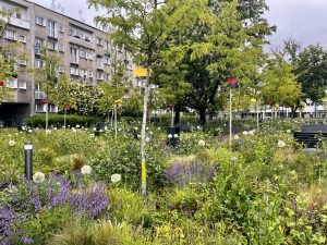 Zielona strategia resortu klimatu