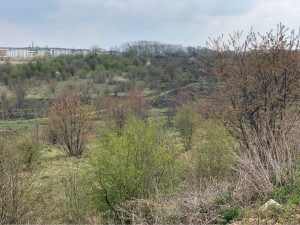 Górki Czechowskie w Lublinie – naturalistyczny park miejski za pieniądze inwestora