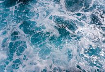 Światowy Dzień Oceanów. Oto najcenniejszy skarb błękitnej planety