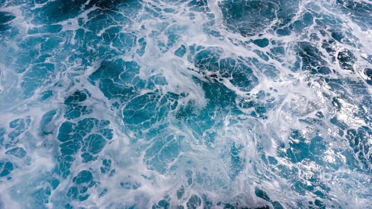Światowy Dzień Oceanów. Oto najcenniejszy skarb błękitnej planety