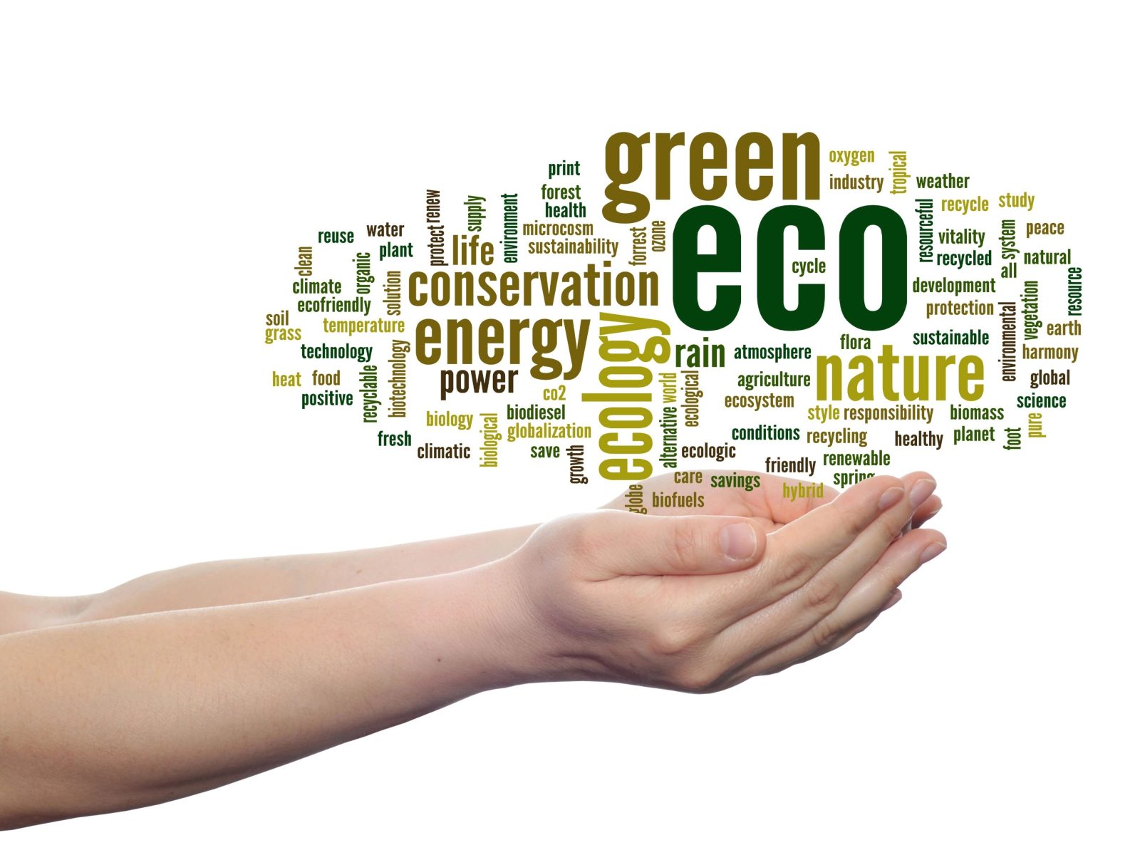 Polacy coraz bardziej obojętni na ekologię