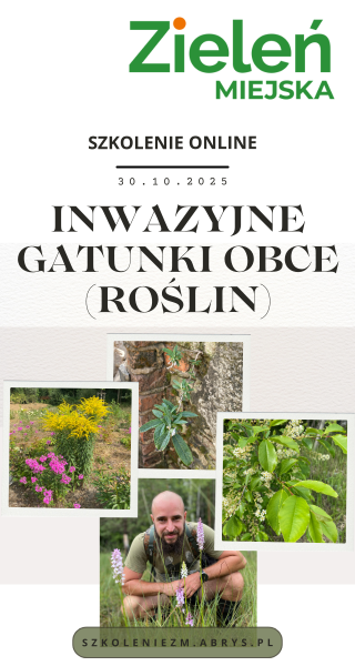 ad3a zieleń miejska ZM IGO [30.06-30.10.25]