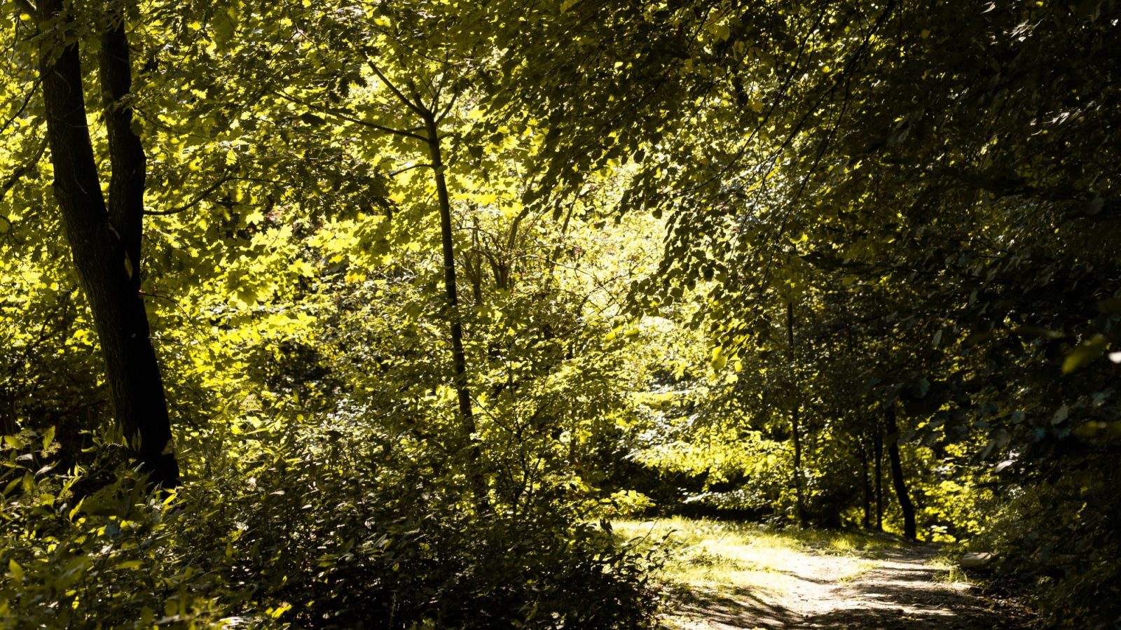 Bolesta: 65 mln zł w tym roku na programy edukacyjne m.in. o ekologii