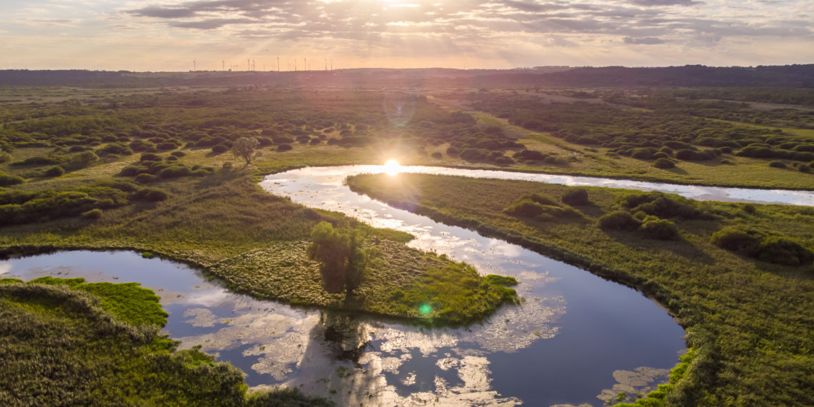 Dolina Dolnej Odry zyska status parku narodowego