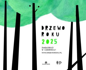 Rusza głosowanie na Drzewo Roku 2025