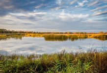 Wrocławska uczelnia i Stawy Milickie będą przeciwdziałać zmianom hydrologicznymi i degradacji środowiska