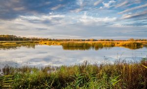 Wrocławska uczelnia i Stawy Milickie będą przeciwdziałać zmianom hydrologicznymi i degradacji środowiska