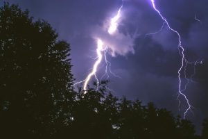 Pioruny niszczą rocznie setki milionów drzew
