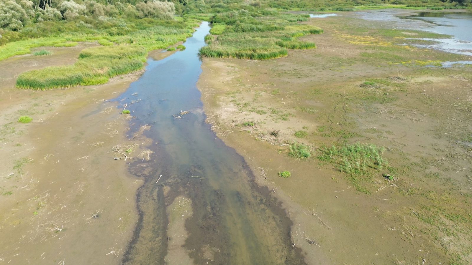 Upały powodują choćby trzy razy większe parowanie wody z rzek