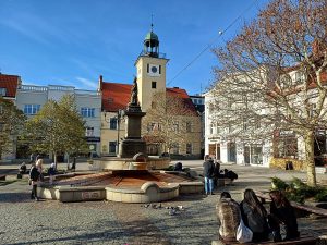Rybnik wprowadza Standardy Ochrony Drzew