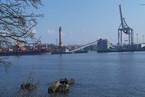 15-metrowy wieloryb zatopiony u wybrzeży Świnoujścia