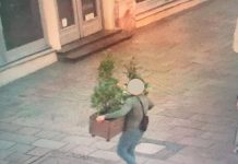Kradzieże roślin i dewastacja. W Krakowie sprawcę uchwyciła kamera. Przeprosił i zapłacił mandat