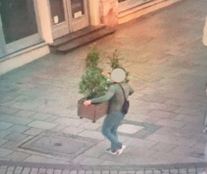Kradzieże roślin i dewastacja. W Krakowie sprawcę uchwyciła kamera. Przeprosił i zapłacił mandat