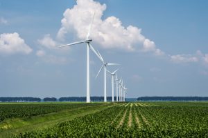 Sejm przyjął ustawę, która zamraża ceny prądu i odblokowuje energetykę wiatrową