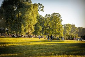 Letni egzamin z zarządzania zielenią