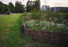Trzy nowe ogrody biocenotyczne w Warszawie