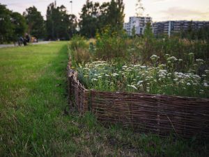Trzy nowe ogrody biocenotyczne w Warszawie