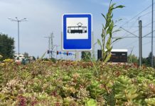 Chłodne przystanki w Krakowie dzięki “zielonym dachom”