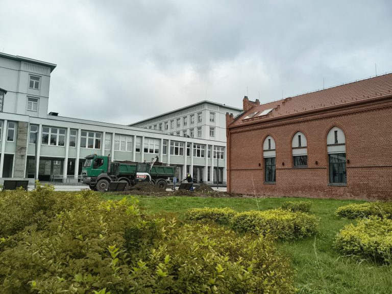 Gliwice stawiają na ogrody deszczowe. Zielona retencja w centrum miasta