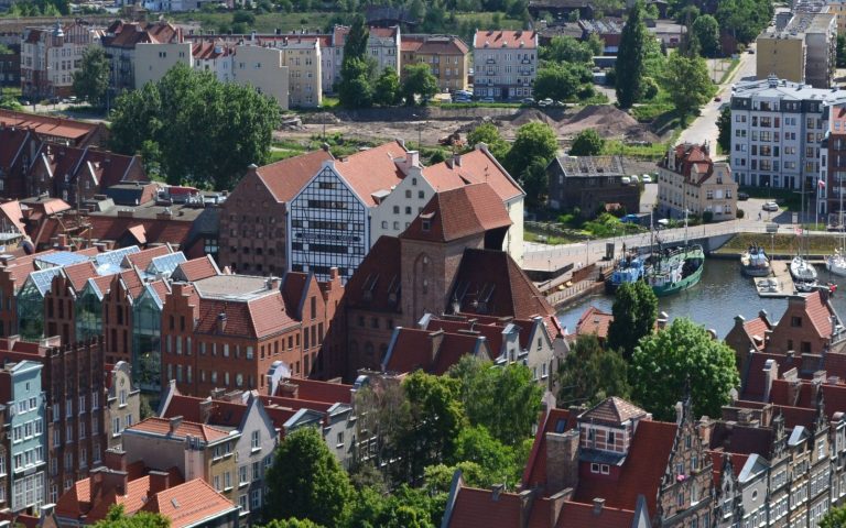 Gdańsk powołał Społeczną Radę ds. Drzew